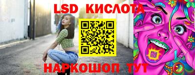 стафф Камышлов