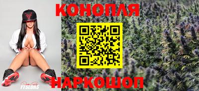 стафф Камышлов