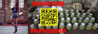 стафф Камышлов
